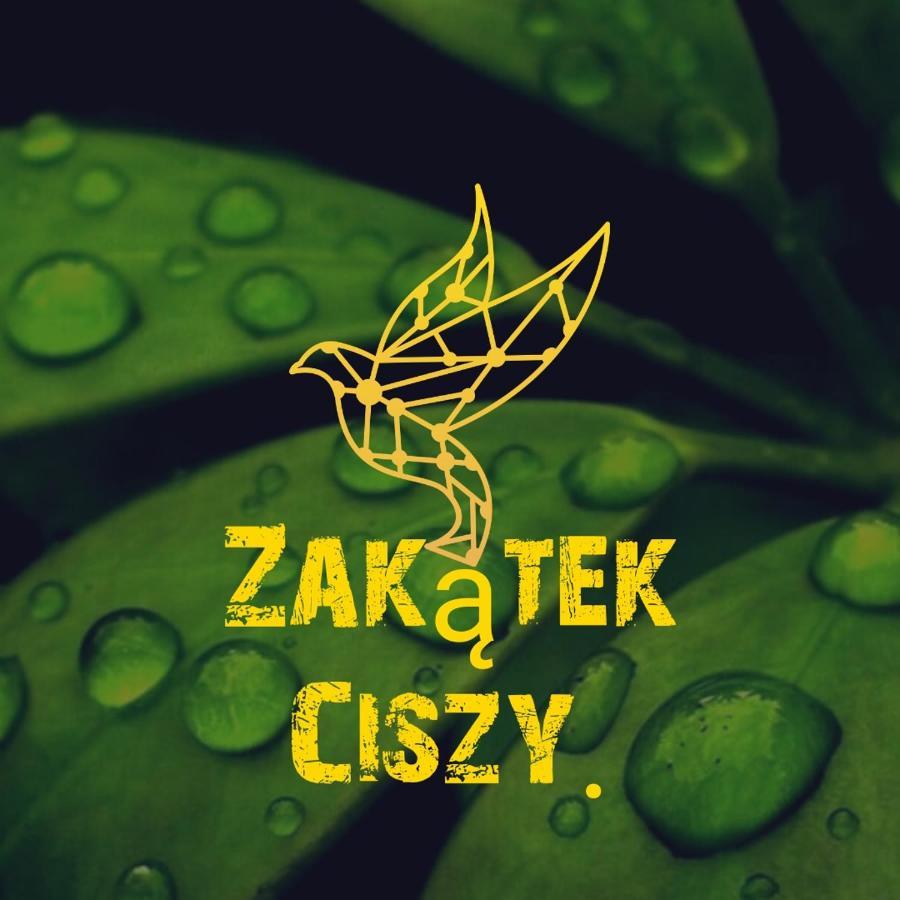 Zakatek Ciszy. Villa Sluchowo Bagian luar foto